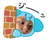 815666220