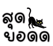 815751678