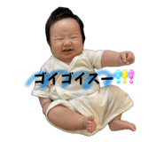 815793755