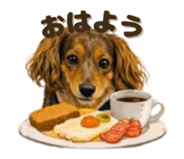 815796507