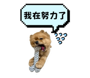 815802349