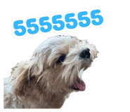 815831566