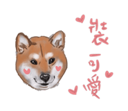 815834876