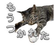 815837726