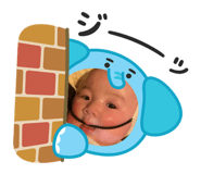 815846484