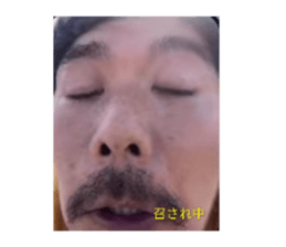 815850333