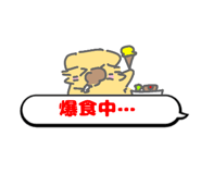 815854567