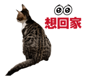 815861569