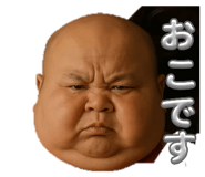 815866833