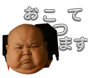815866834