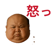 815866836