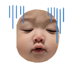 815869683