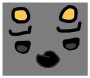 815869721