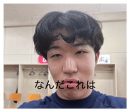 815872629