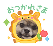 815881817