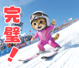 815885400