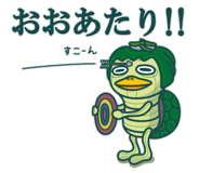 815885638