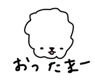 815887883