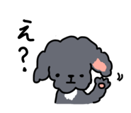 815887888