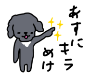 815887902