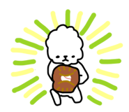 815887903
