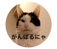 815888676