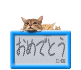 815892314