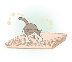ANIME KURUNEKO รูปที่ 9