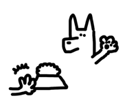 815909916