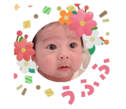 815936951