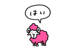 815954241