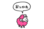 815954243