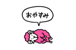 815954244