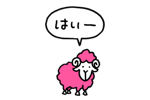 815954252