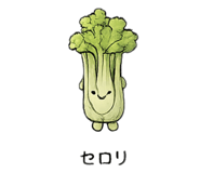 815954988