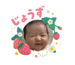 815977122