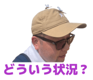 816018087