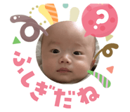 816024292