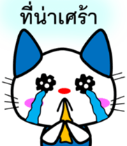 8160851