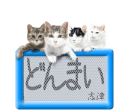 816099966