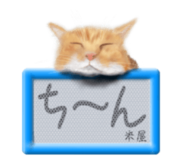816100115