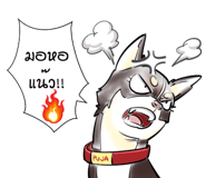 816112645