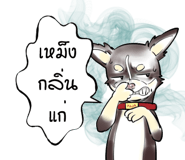816112646