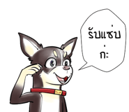 816112647