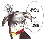 816112649