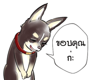 816112651
