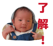 816138466