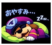 816160056