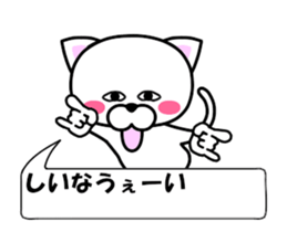 81616777