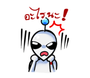 816203304